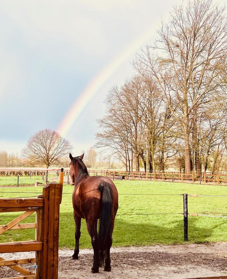 Ontwaken Tussen De Paarden Bed & Breakfast Zoutleeuw Екстериор снимка