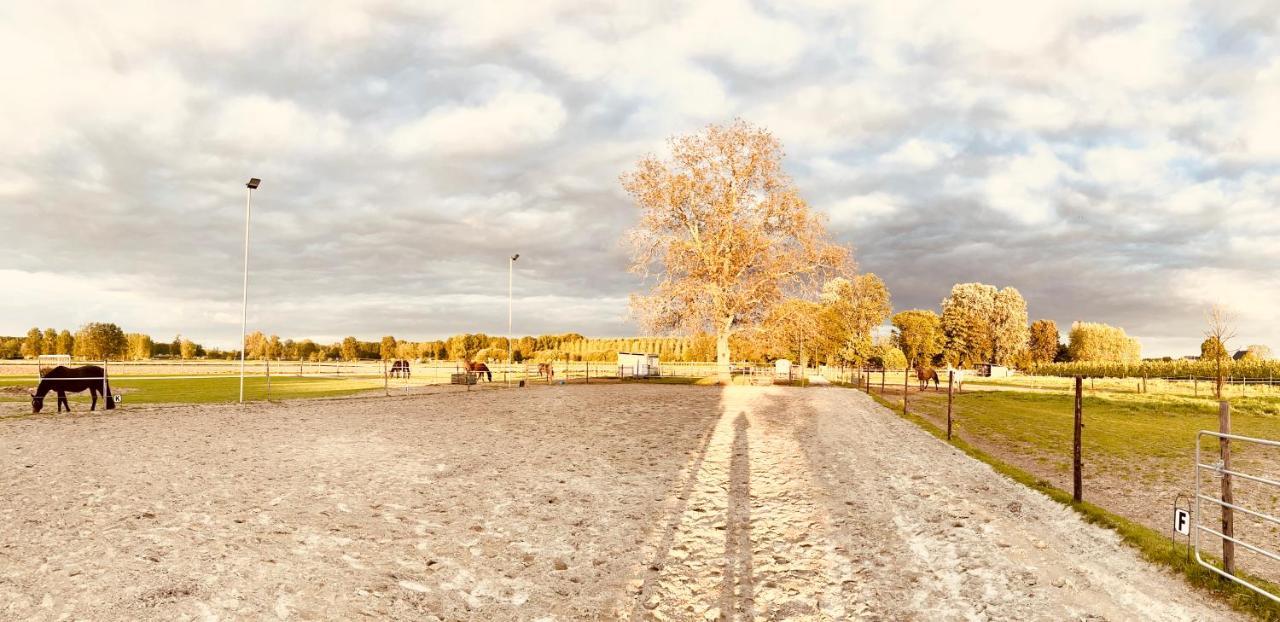 Ontwaken Tussen De Paarden Bed & Breakfast Zoutleeuw Екстериор снимка